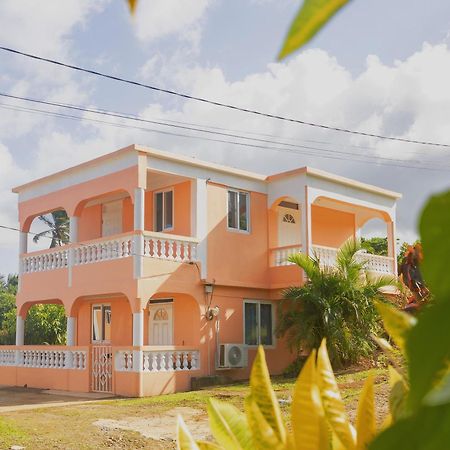 Happy Nest Dominica Hotel Marigot Luaran gambar