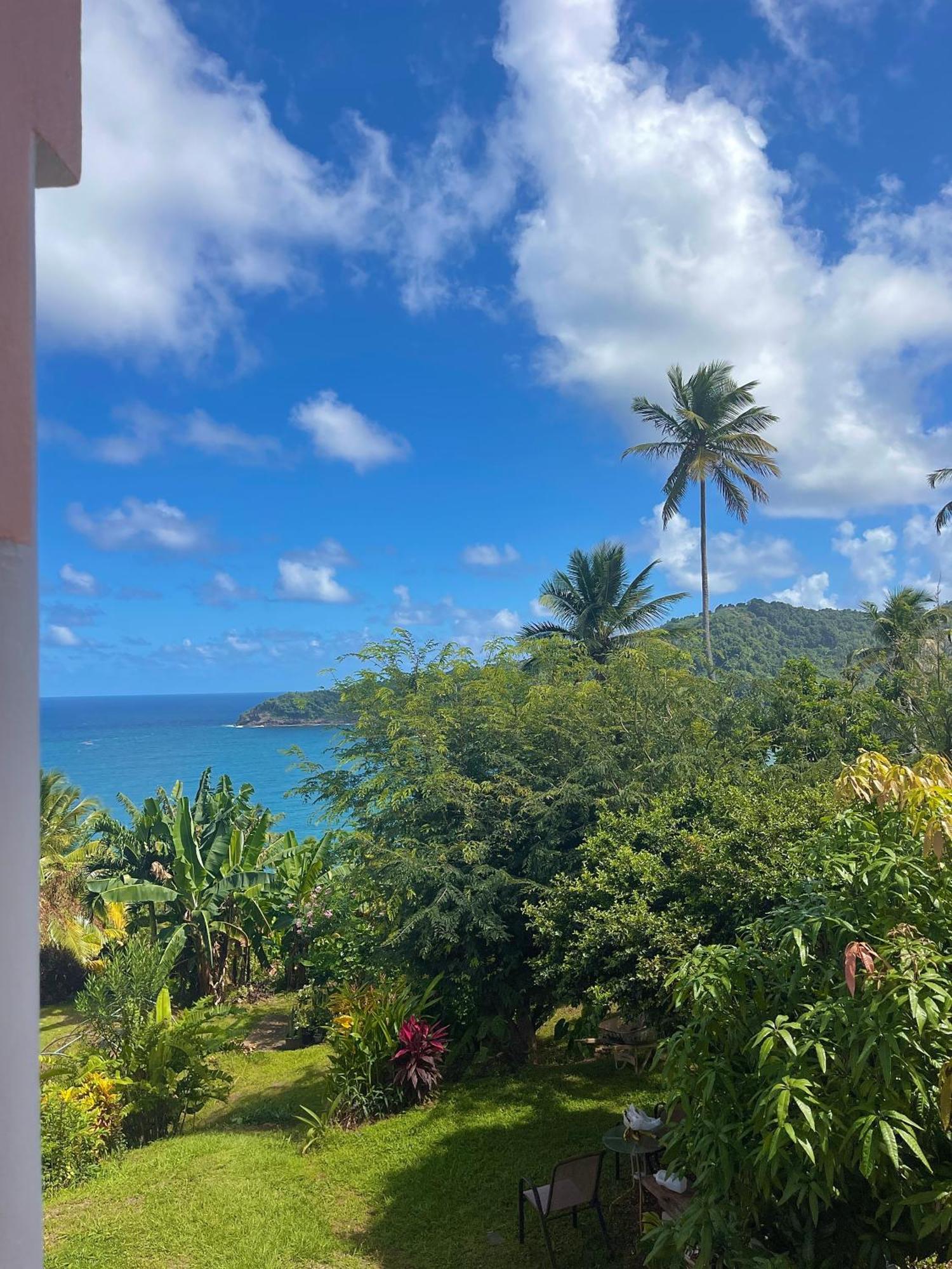 Happy Nest Dominica Hotel Marigot Luaran gambar